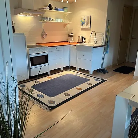 Skon Til 4 Personer Holiday home Ansager